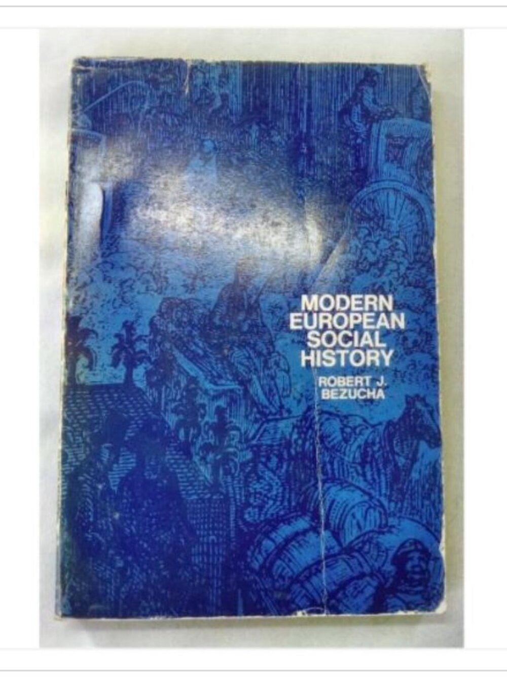 Modern European Social History Robert J. Bezucha 1972 Paperback Book Vintage